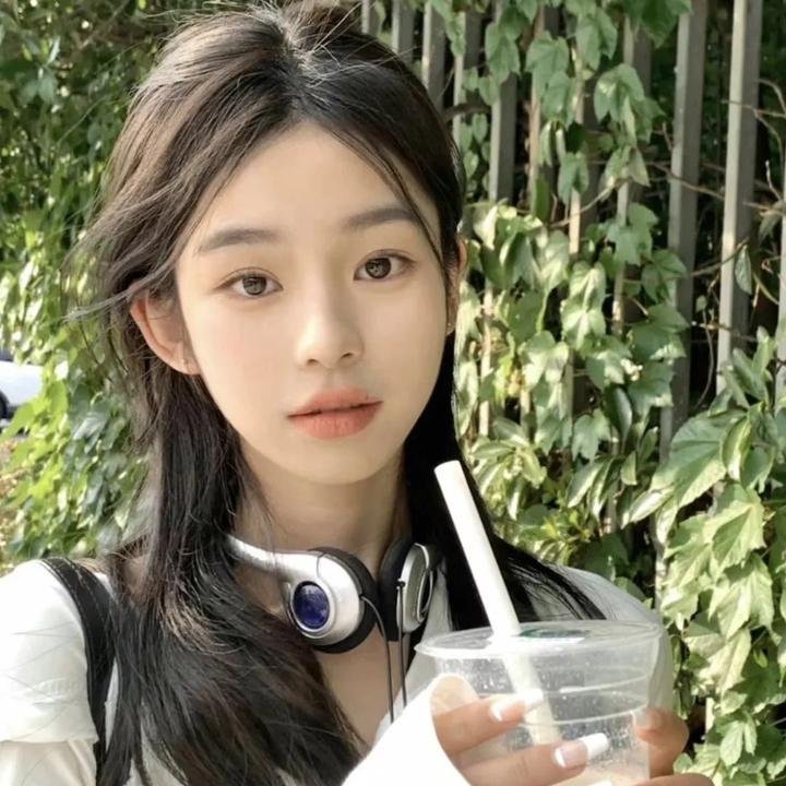 凤舞龙翔封面